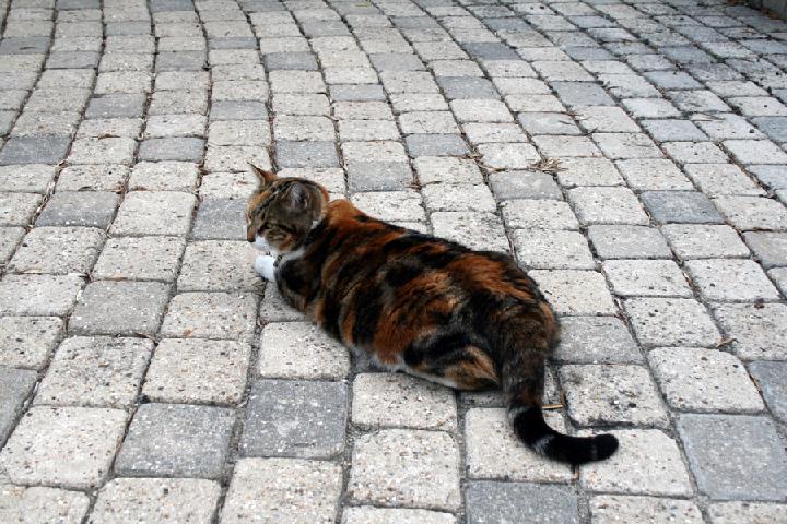 2009-08 Mia 001 .JPG